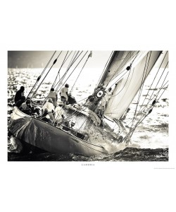 Guillaume Plisson, Cambria - Classic Yacht