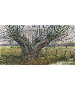 Drago Pecenica, The old Pollard willow near Terschuur