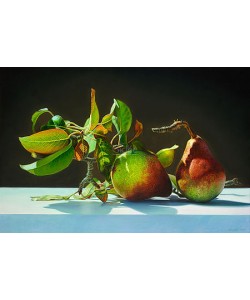 Jan van 't Hoff, Pears
