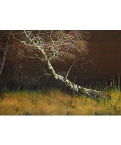 Geke Hoogstins, The old birch