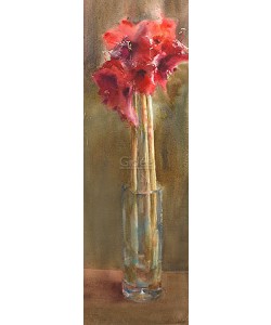 Dorry van de Winkel, Amaryllis