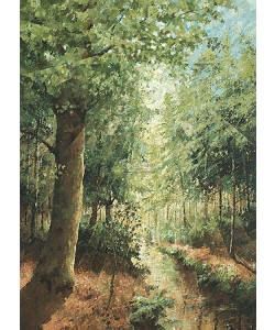 Marius van Dokkum, Landscape with Trees