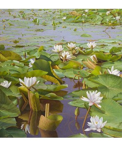 Joke Frima, Ascended out of the black mud 