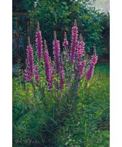 Eric De Vree, Purple loosestrife