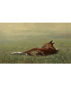 Rob Møhlmann, Femke, the first few minutes of a foal 1