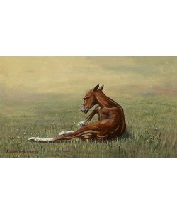 Rob Møhlmann, Femke, the first few minutes of a foal 2
