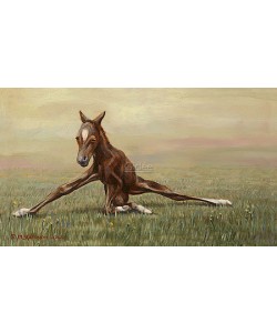 Rob Møhlmann, Femke, the first few minutes of a foal 4