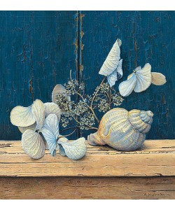 Aad Hofman, Hydrangea and Shell