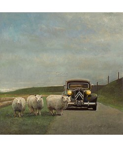 Martin Sijbesma, Slow traffic