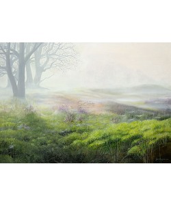 Geke Hoogstins, Mist over heathland