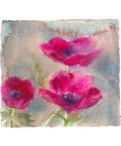 Dorry van de Winkel, Anemone