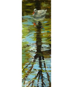 Theo Onnes, White Duck II