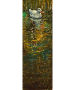 Theo Onnes, Wite Duck I