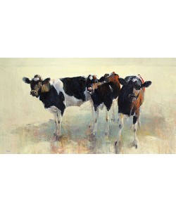 Hiske Wiersma, Young Cattle