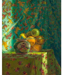 Keimpe van der Kooi, With washing machine door