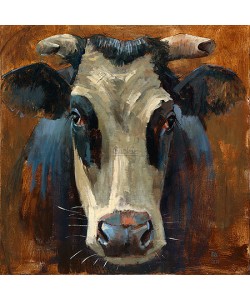 Theo Onnes, Blaarkop
