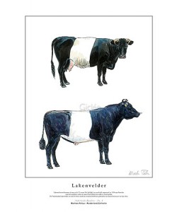 Marleen Felius, Lakenvelder zwart