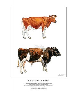 Marleen Felius, Roodbonte Fries