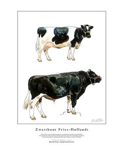 Marleen Felius, Zwartbont Fries-Hollands