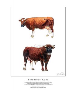 Marleen Felius, Brandrode Rund