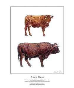 Marleen Felius, Rode Geus