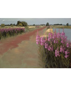 Dick Bakker, Fireweed at Brandemeer