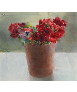 Dorry van de Winkel, Red anemones