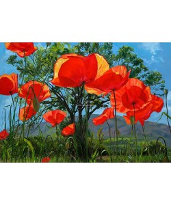 Theo Leijdekkers, Poppies, tree or mountain