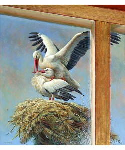 Erik van Ommen, Storks on the nest
