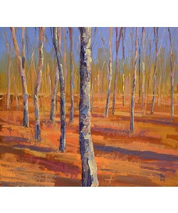 Theo Onnes, Birch forest