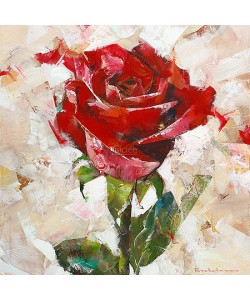 Dorus Brekelmans, Rose