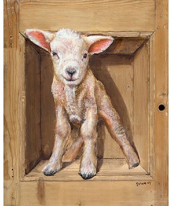 Johan Mulder, Lamb