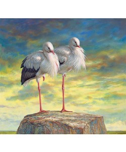 Erik van Ommen, Storks