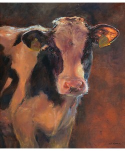 Geke Steenmetz, Bull Calf