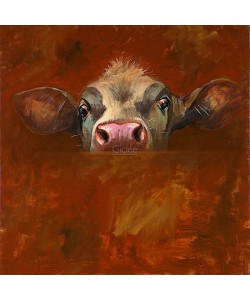 Theo Onnes, Curious calf