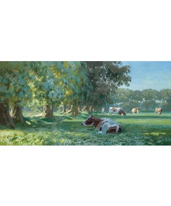 Hans Versfelt, Cattle in morning light