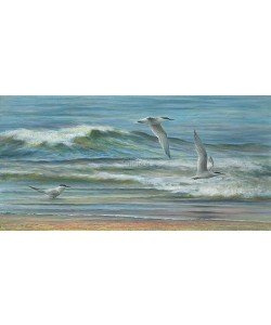 Erik van Ommen, Three Terns