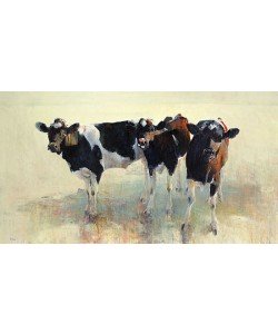 Hiske Wiersma, Young Cattle