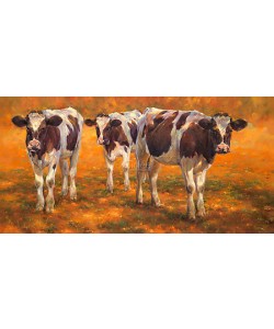 Geke Steenmetz, Cow calves in the early morning