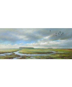 Erik van Ommen, Lapwings