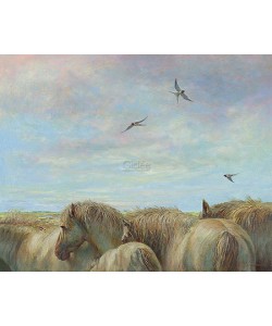 Erik van Ommen, Horses and barn swallows