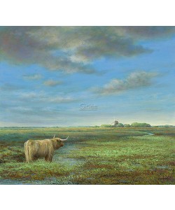 Erik van Ommen, Highland Cattle in Groningen