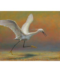 Erik van Ommen, Little Egret