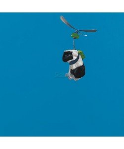 Jasper Oostland, No-name