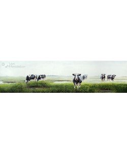 Geke Hoogstins, Cows in the fog