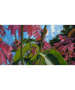 Theo Leijdekkers, Aechinacea met blad