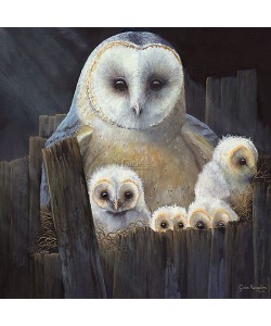 Geke Hoogstins, Nesting barn owls