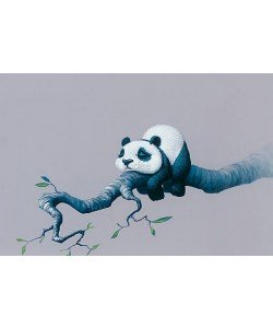 Jasper Oostland, Panda