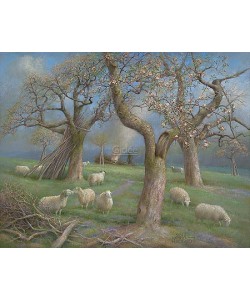 Patrick Creyghton, Sheep in the orchard