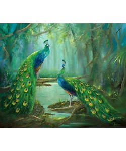 Jan Kooistra, Two peacocks